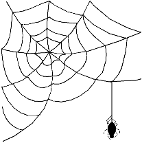Web and spider